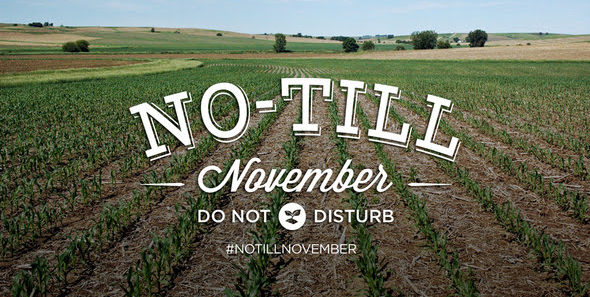 No-Till November